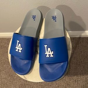 DODGER SLIDES